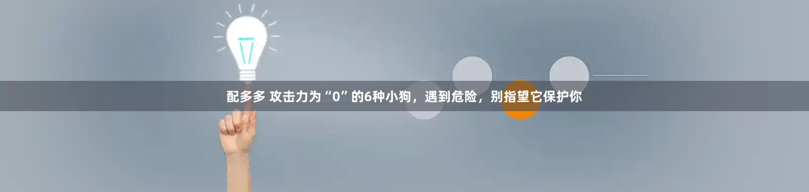 配多多 攻击力为“0”的6种小狗，遇到危险，别指望它保护你
